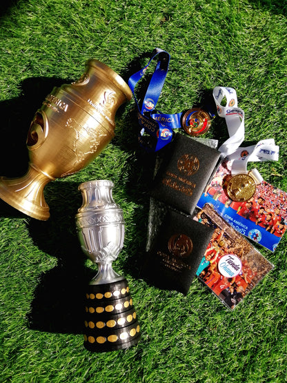 Colección Completa Chile 🇨🇱 Bicampeón de América 2015/2016.