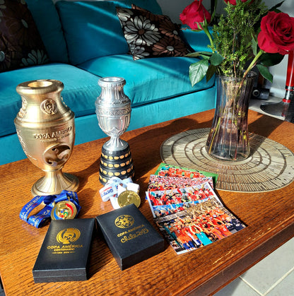 Colección Completa Chile 🇨🇱 Bicampeón de América 2015/2016.